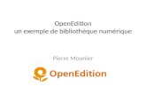 OpenEdition, un exemple de bibliothèque numérique