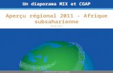 Aper§u r©gional 2011 - Afrique subsaharienne