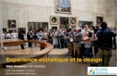 Expérience esthétique et le design / Aesthetic experience and design - Flupa Metz 2012