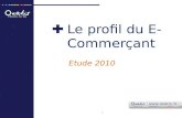Profil Du E-Commercant 2010