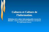 Cultures Et Culture De L’Information