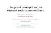 Séminaire ISCC : usages et perceptions des réseaux sociaux numériques