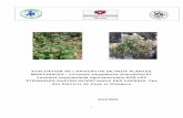 Evaluation de l Efficacite deux Plantes Medicinales: Vernonia Amygdalina (Umubilizi) et Leonotis Nepetaefolia (Igicumucumu) sur Les Strongles Gastro-Intestinaux Des Caprins. Cas des