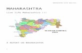 MAHARASHTRA State Report