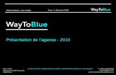 Presentation Way To Blue Fr