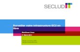 Solutions linux ec2 surveillance