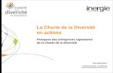 Charte de la diversite 2010