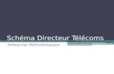 Demarche methodologique de conduite d'un schema directeur Telecom