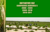 Workshop ii   mali-initiative riz