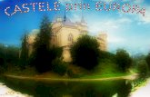 Castele Prin Europa