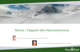 Stress : l'apport des Neurosciences
