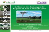 Actes de la journée Carbone en pâturage de Guyane et gaz à effet de serre du 1er octobre 2013