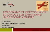 Casablanca 2010 - Toxicomanie et infection à VIH en Afrique Sub-saharienne: une épidémie négligée
