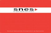 SNES - Entrepreneurs Spectacle