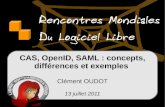 CAS, OpenID, Shibboleth, SAML : concepts, différences et exemples