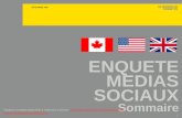 Enquete Medias sociaux 2009 - Sommaire