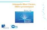 Atlanpole blue cluster, filière prometteuse