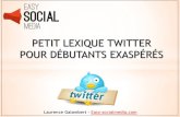 Lexique twitter pour debutant