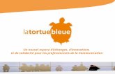 Bruno Paillet - La tortue bleue