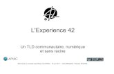 L'Experience 42 - Un TLD communautaire, numérique et sans racine