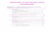 Rapport d'activité Seine-et-Marne Tourisme 2014