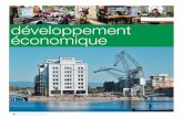 Tome 8 : développement économique