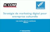 Marketing Digital des entreprises culturelles - Formation ICCOM #1