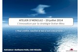 Atelier d'Hercule : L'innovation par la stratégie Océan Bleu 29-07-2014