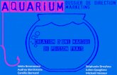 Aquarium: création de marque