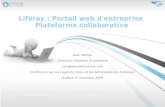 Liferay Portail Web Enterprise Plateforme Collaborative