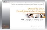Démonstration 2010 AMI Enterprise Intelligence solution pour l'intelligence d'entreprise