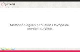 Agora cms 2014 - Méthodes agiles et culture Devops au service du Web