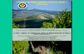 Vins, vignes et vignerons du département d’Alba: projet scolaire en images