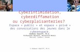 Cyberintimidation, Shariff PowerPoint 1