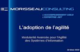 L Morisseau Adoption De L Agilite