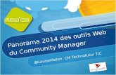 Panorama 2014 du community manager