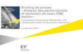Analyse des performances et évolution du tissu PME wallon