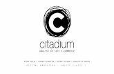 Analyse du site E-commerce de Citadium