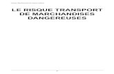 LE RISQUE TRANSPORT  DE MARCHANDISES  DANGEREUSES  91