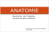 Anatomie  De La Femme