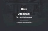 OpenStack 2014 - Entre projet et stratégie