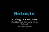 Bio3 0910 Lec4 Meiosis