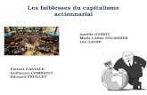 Nos projets - Projets 1A - Faiblesses du capitalisme actionnarial - Présentation