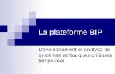 Bip Résumé (French)