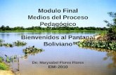 Copia de el pantanal boliviano power point mary