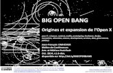 Big Open Bang - Origines et Expansion de l'Open X