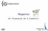 Magento framework ecommerce