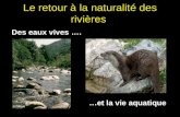 Le retour à la naturalité des rivières