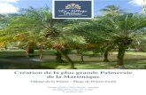 Création de la plus grande Palmeraie de la Martinique à la Pointe Faula