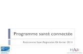 2014-02-06 ASIP Santé RIR "Programme Santé Connectée"